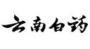 為云南白藥集團提供藥學翻譯